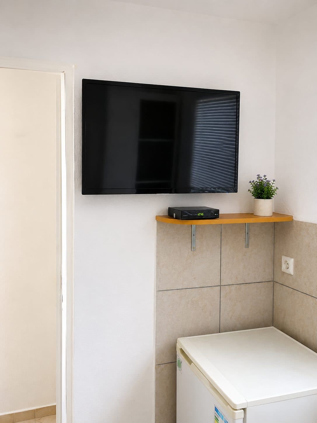 TV i frižider u apartmanu